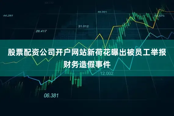 股票配资公司开户网站新荷花曝出被员工举报财务造假事件