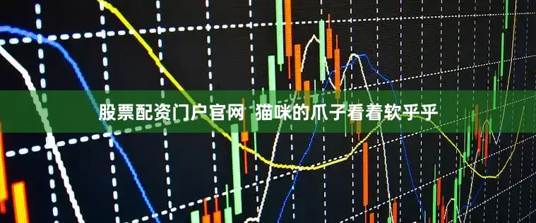 股票配资门户官网  猫咪的爪子看着软乎乎