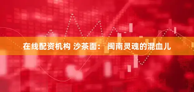 在线配资机构 沙茶面： 闽南灵魂的混血儿